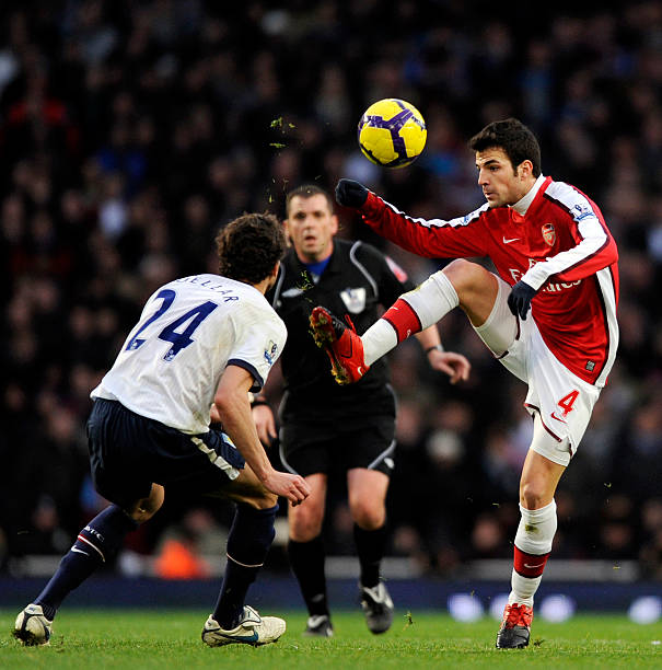 岛整个城市 岛整个城市